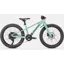 Specialized Riprock 20 Kids Mountain Bike in Oasis/Black