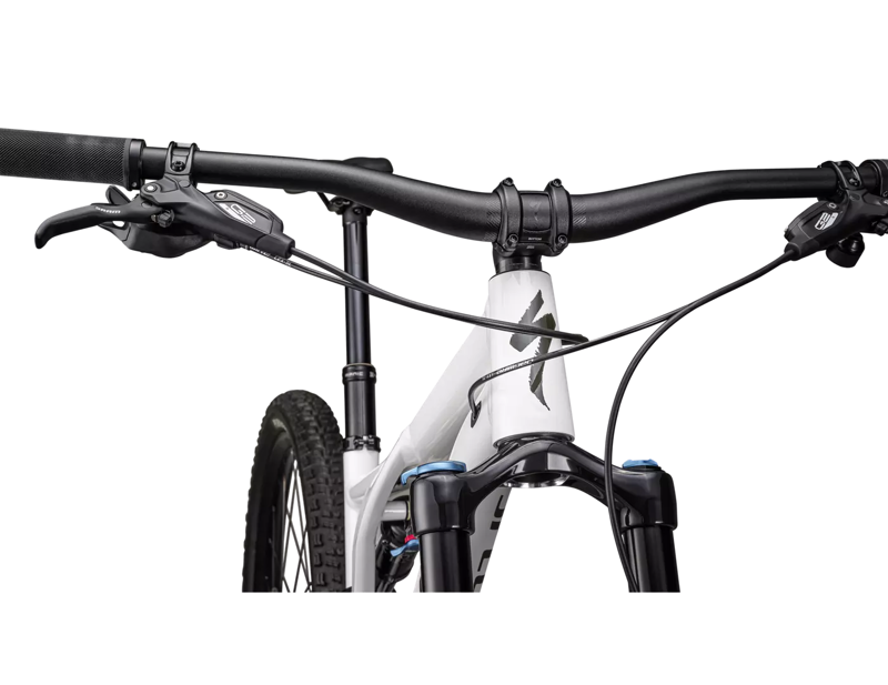 Specialized Stumpjumper Comp Alloy in Dune White/Moss Green-4