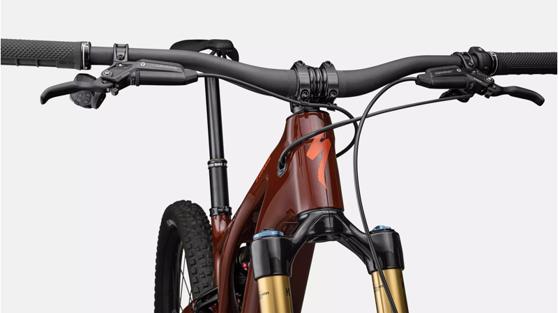 Specialized Turbo Levo Pro Carbon in Gloss Rusted Red/Satin Redwood-4