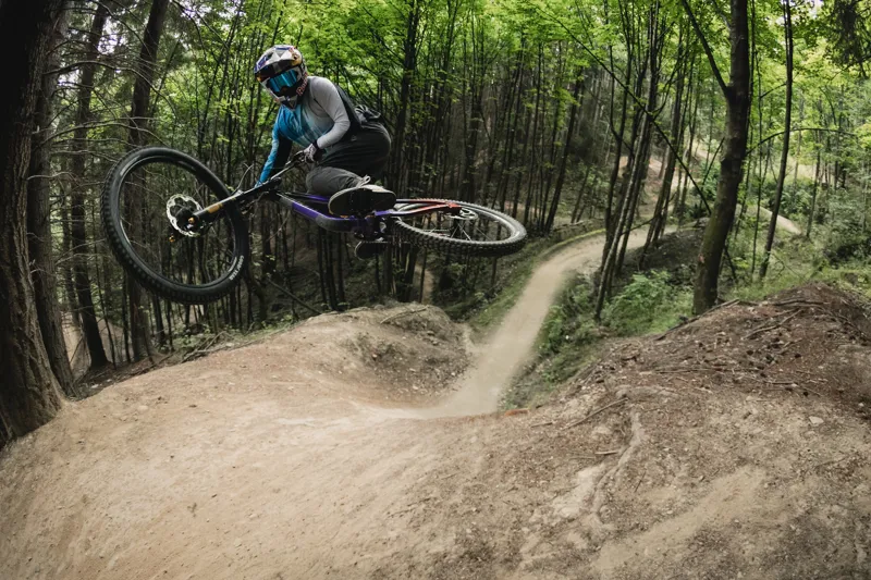 Marin Quake Downhill Bike in Purple and Red-1