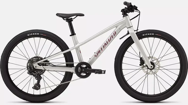 Specialized Riprock 24 Kids Bike in Gloss Dolomite Metallic/Quartz