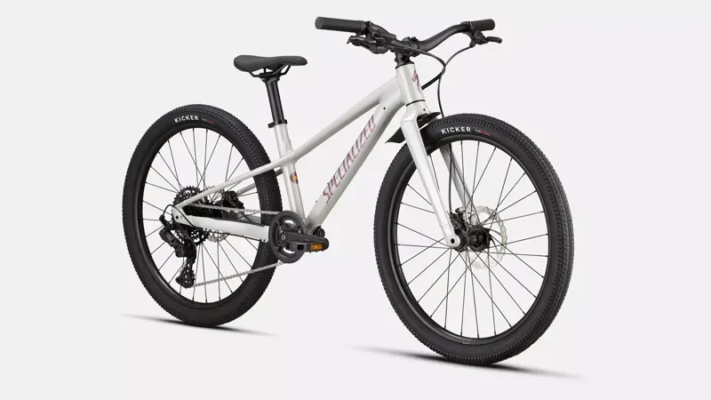 Specialized Riprock 24 Kids Bike in Gloss Dolomite Metallic/Quartz-1