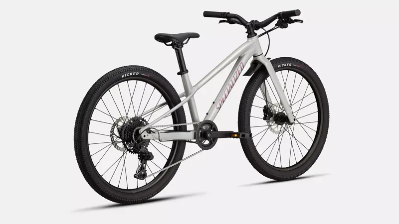 Specialized Riprock 24 Kids Bike in Gloss Dolomite Metallic/Quartz-2