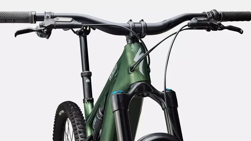 Specialized Turbo Levo 4 Expert S MTB in Cypress and Silver-4